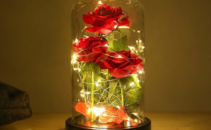 LED Rose Bottle Lamp